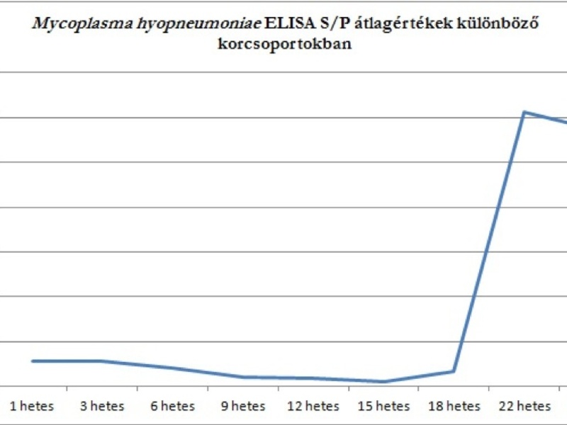 Mycoplasma hyopneumoniae szerológia